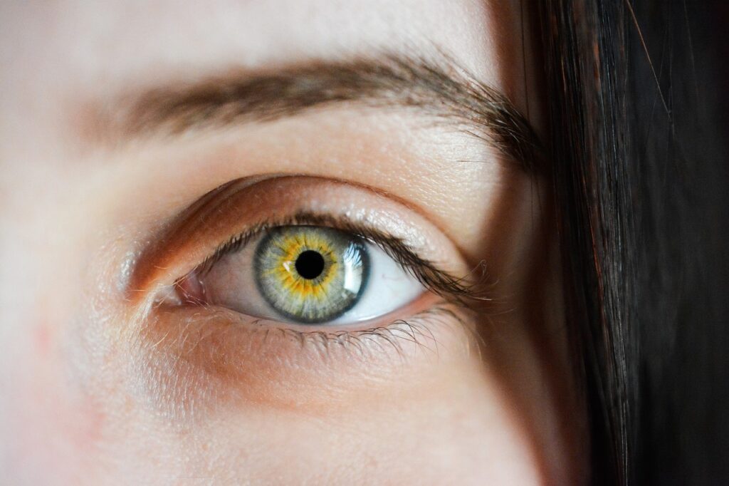 What Determines Your Eye Color